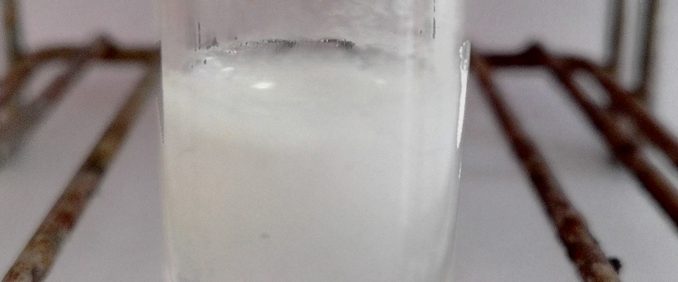 Précicpité blanc du test des ions chlorure Précipité blanc obtenu lors du tests de reconnaissance des ions chlorure