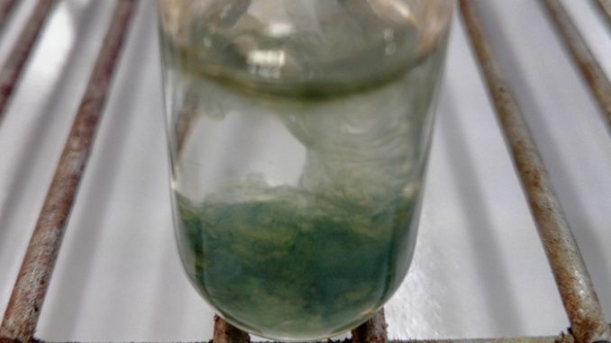 precipite-vert-test-fer Précipité vert d'hydroxyde de sodium