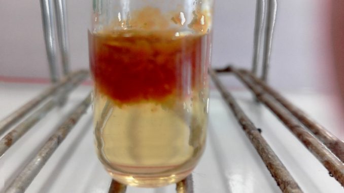 Précipite rouge test des ion fer III Précipité rouge brique d'hydroxyde de fer III