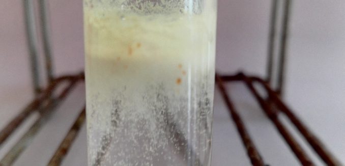 precipite test iodure Le précipité jaunâtre formé lorsque le test des ions iodure est positif