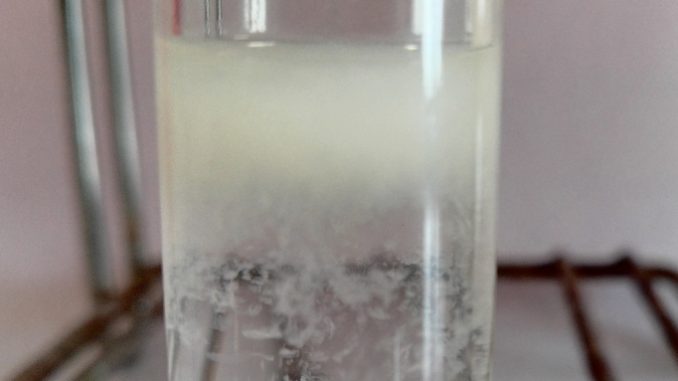 Précipité d'oxalate de calcium Précipité d'oxalte d'ammonium