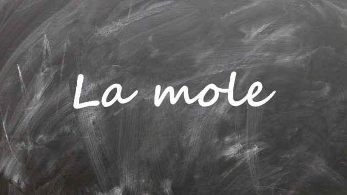 mole Leçon sur la mole