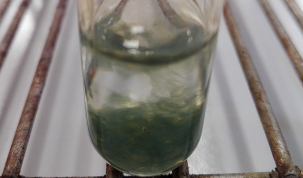 Précipité vert d'hydroxyde de sodium