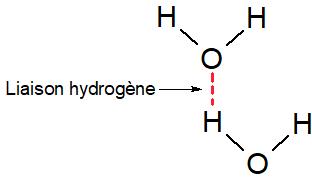 Liaison hydrogène dans l'eau