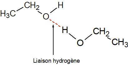 Liaison hydrogène dans l'éthanol