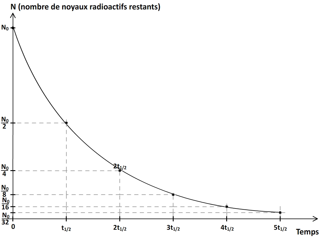 évolution du nombre de noyaux radioactifs au cours du temps